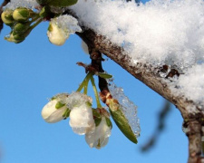 Март в Украине уйдет с морозом и снегом