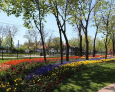 Мариупольская «Веселка» после майских праздников лишилась более сотни цветов