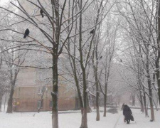 Мариуполь окутало снегом, а горожане готовятся к Новому году (ФОТОФАКТ)