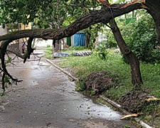 Поваленные деревья и «озера» на дорогах: какие последствия непогоды в Мариуполе? (ФОТОФАКТ)