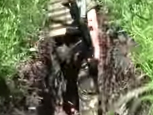 В сети опубликовано видео о боях под Мариуполем у Пикузов (Коминтерново) (ВИДЕО)