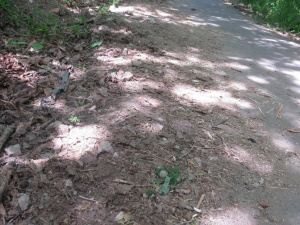 Рыболовы в Мариуполе засыпали землёй популярный проход к морю (ФОТОФАКТ)