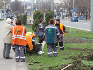 В центре Мариуполя появится гигантская волна из цветов (ФОТО) 