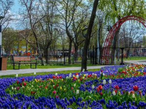 Мариупольскую «Веселку» украсили порядка 200 тысяч цветов (ФОТО)
