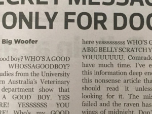 Студенты написали заметку в газету с секретным сообщением для собак