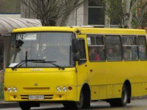 В Мариуполе частным перевозчикам поставили жесткие сроки по улучшению сервиса