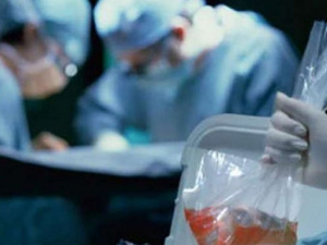 Операции по трансплантации будут выполнять в Донецкой области