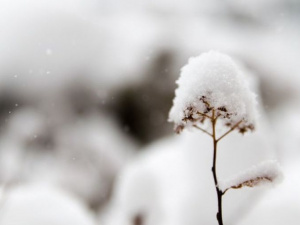 Мороз после жары: когда в Мариуполе ждать похолодание со снегом?
