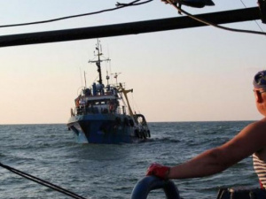 Мариупольские предприятия смогут ловить рыбу в Азовском море? Украина и Россия согласовали спорный вопрос
