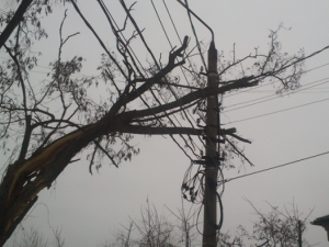 Из-за непогоды во всех районах Мариуполя частично отсутствует электроснабжение (АДРЕСА)