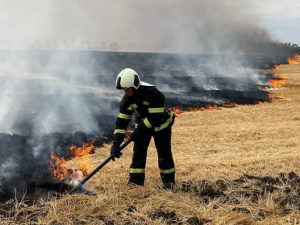 Огонь с пшеничных полей мог перекинуться на 12 жилых домов на Донетчине