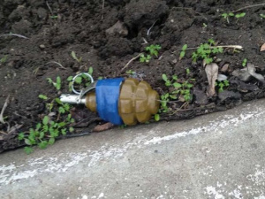 Лежала на дороге: мариуполец возле дома обнаружил боевую гранату (ФОТО)