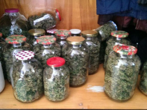 Полицейские изъяли у мариупольца 10-киллограмовую партию конопли (ФОТО)