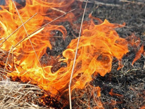 В Мариуполе пожары. ГСЧС предупредила о чрезвычайной степени пожароопасности (ФОТО)