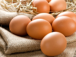 Ціни підуть вгору - як в Україні зміниться вартість яєць