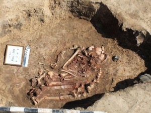 Мариупольские археологи раскопали девять захоронений бронзового века