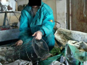На побережье Мариуполя поймали браконьеров с уловом на 137 тыс. грн.