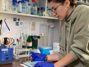 В Польше тестируют на мышах украинскую вакцину против COVID-19