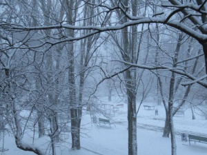 Мариуполь превратился в сказочный город (ФОТО+ВИДЕО)