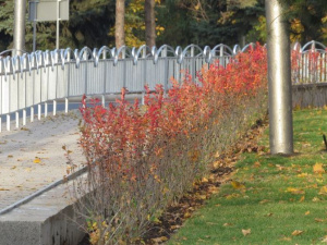 Безопасность мариупольцев обеспечит «серебряная» ограда в пять километров (ФОТОФАКТ)