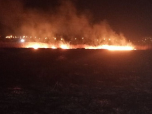 Знойная угроза: на Донетчине за сутки вспыхнуло 62 пожара в экосистемах (ФОТО)