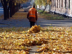 Мариупольцев призывают не выбрасывать листву в мусорные баки