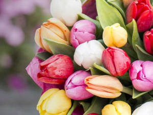 Язык цветов: гид по букетам к 8 Марта для мариупольцев