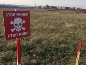 У Мариуполя  разминируют поля  