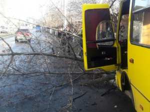 В Мариуполе маршрутка столкнулась с авто и врезалась в дерево. Есть пострадавшие (ФОТО+ВИДЕО)