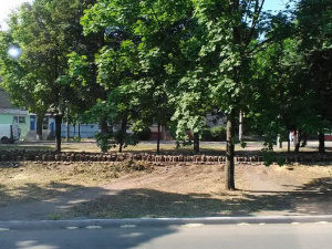 В Мариуполе разбирают тротуарную плитку и пилят деревья - «возвратился» ремонт коллектора (ФОТО+ВИДЕО)