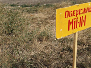 Более 600 мирных жителей погибло на Донбассе из-за мин