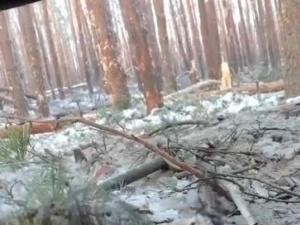 ЗСУ відбили штурм росіян в лісі під Кремінною, який перетворився на болото