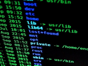 Советы киберполиции: как мариупольцам не стать жертвой вируса Petya.A