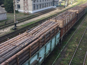 В Донецк пытались вывезти 40 вагонов древесины на 1 млн грн. (ФОТО)