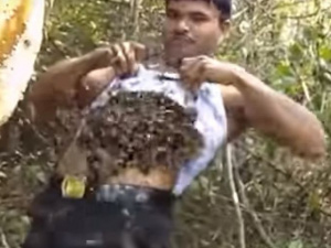 Ближе к телу: пасечник-экстремал горстями кладет пчел себе под майку (ФОТО+ВИДЕО)