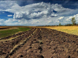 Дельцы из «ДНР» хотели завладеть землей на 250 млн гривен