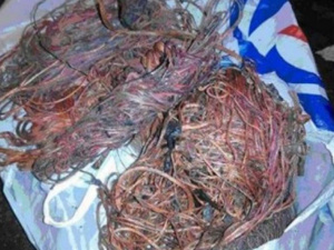 В Мариуполе на горячем поймали вырезавших 80 метров кабеля (ФОТО)