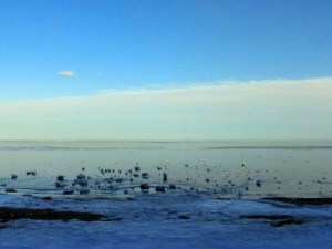 В Мариуполе замерзшее море создало невероятные пейзажи