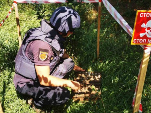 Более 870 взрывоопасных предметов уничтожили за неделю в Донбассе