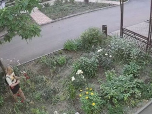 Мариупольская клумба страдает от «набегов» цветочных воров