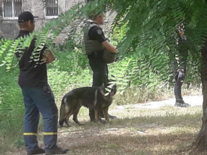 В районе Академии полиции в Мариуполе нашли «гранату»