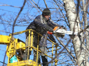 В Мариуполе старые деревья ломают коммуникационные сети и обрывают ЛЭП