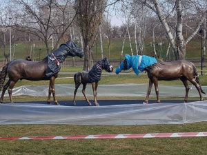 В мариупольском парке «место отдыха» лошадей застелили резиновым покрытием