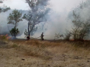 «Последствия пожара впечатляют». В Мариуполе горел парк Лепорского (ФОТО+ВИДЕО)
