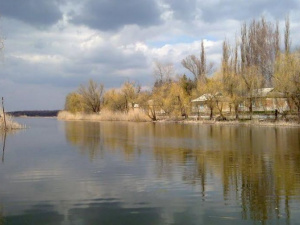 На Донетчине в пруду нашли тело женщины