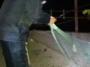 Мариупольцы нарушили запрет на вылов рыбы (ФОТО)