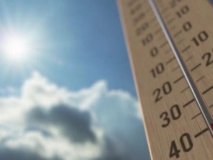 Уходящий год стал самым теплым в истории Украины