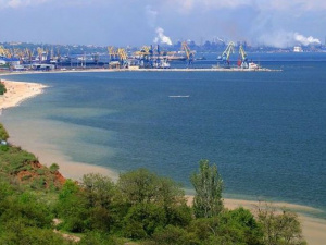 ТОП-новости недели MRPL.CITY: кровавая расправа, масштабный пожар в парке, ускоренное строительство дорог