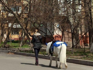 Пикник и поездка на пони: как мариупольцы проводят карантин? (ФОТОФАКТ)