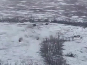 ЗСУ знищили російський танк та підірвали іншу бронетехніку північніше Слов'янська